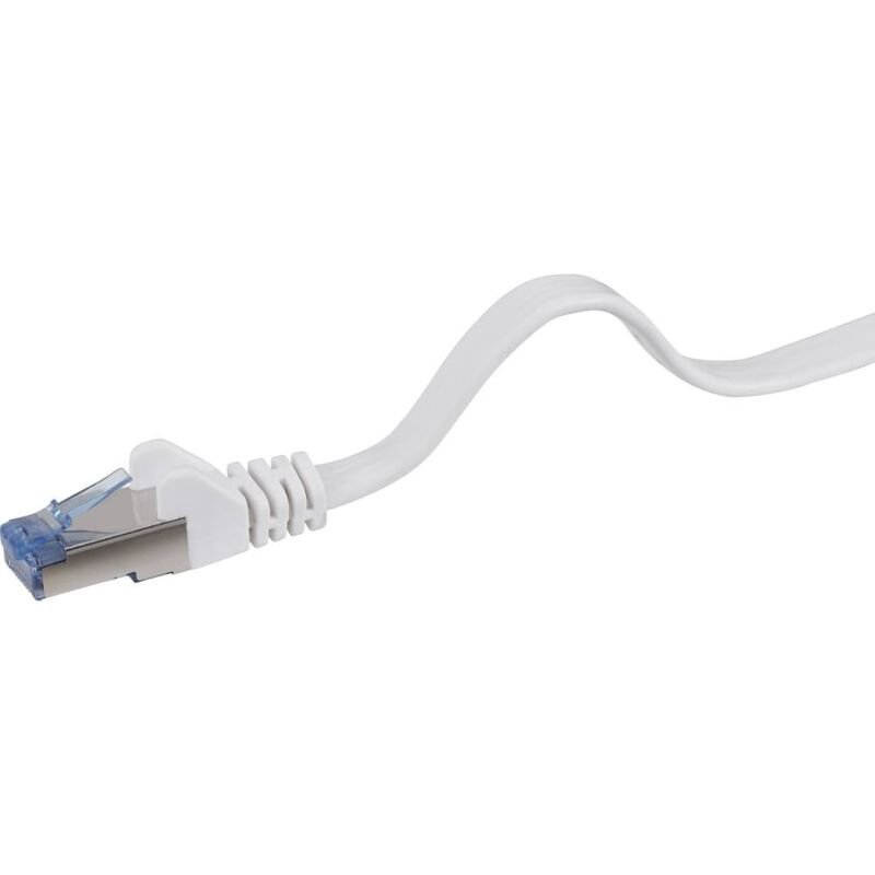 Renkforce - RF-4149855 RJ45 Câble réseau, câble patch cat 6a u/ftp 20.00 m gris très flexible, avec cliquet d'encastremen