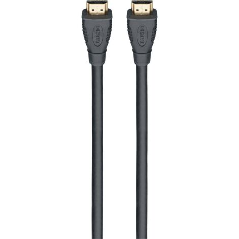 Câble de raccordement Rutenbeck HDMI Fiche mâle HDMI-A, Fiche mâle HDMI-A 2.00 m 21810002 Câble HDMI A038702