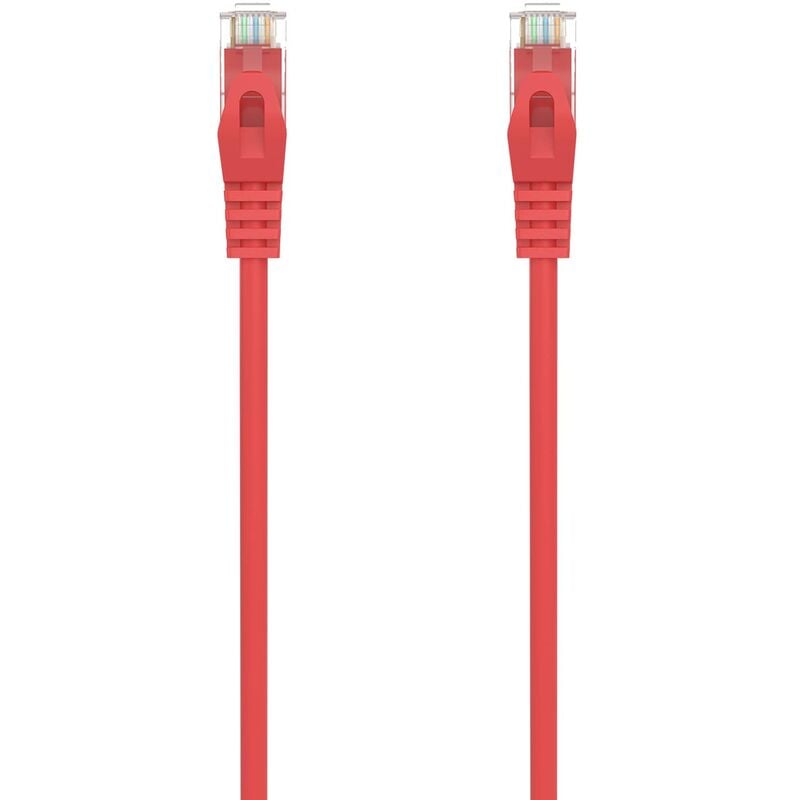 

Cable de red UTP CAT6a 0.50 M Rojo