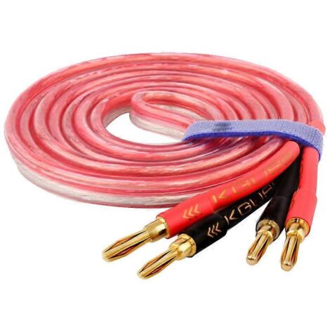 Câble d'enceinte HiFi plaqué or avec fiche banane 1 mètre