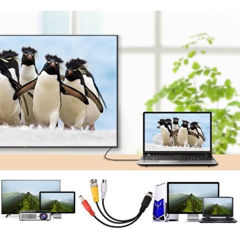 Câble d'extension BNC mâle vers AV femelle pour caméra de recul et moniteur auto