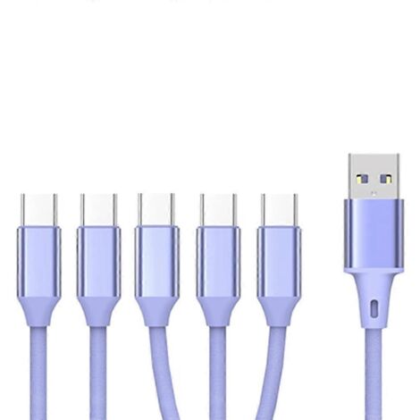 Câble diviseur Micro USB 2.0 vers Type-C, cordon de charge multiple 5 en 1 avec ports Micro USB et Type-C