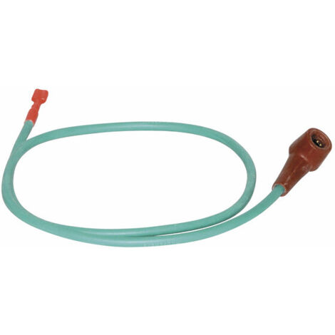 Cable electrode ionisation azurinox - ATLANTIC : 073461