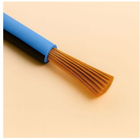 Câble Fil Unipolaire FLRY-B ISO 6722 Classe B Sec. 1,00 bleu clair/noir