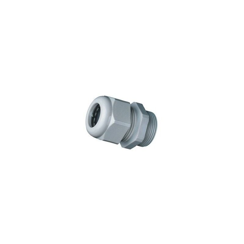 AVB - PG21 cable gland without counter nut - Polyamide - IP68 - Gray