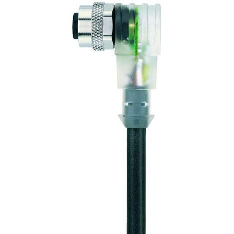 Câble M12 pour capteurs/actionneurs Automation Line LED Escha AL-WWAK4P3.1-5/S370 8045912 Pôle: 4 Contenu: 1 pc(s)