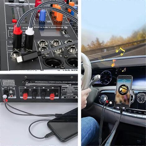 Câble répartiteur USB L vers 2 Y pour 6 connecteurs audio, longueur 1,5 mètre.