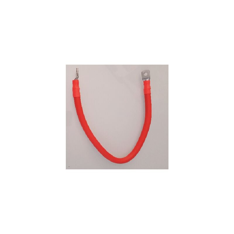 Cable rouge batterie convertisseur 45cm- 2 cosses M8- 50 mm2