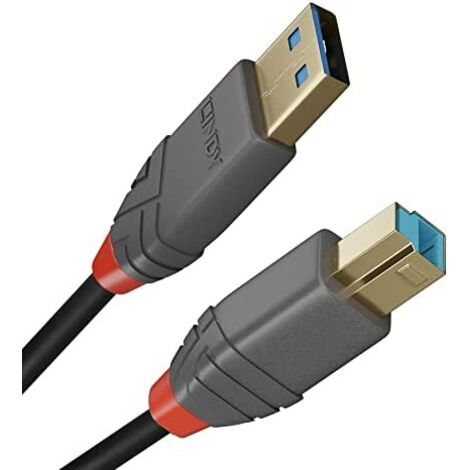 Cable USB LINDY 36743 Negro 3 m
