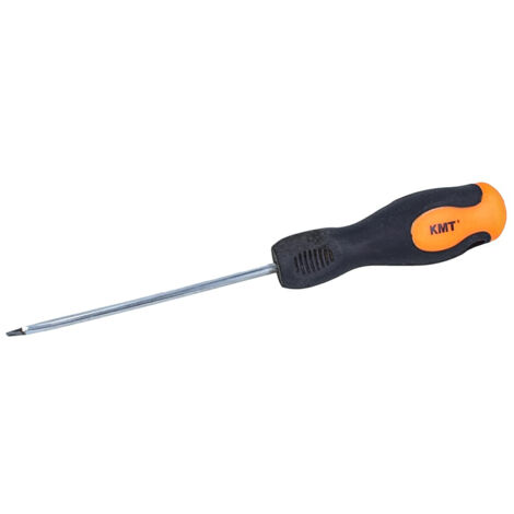 Cacciavite a Taglio 5X100mm Con Punta Magnetica
