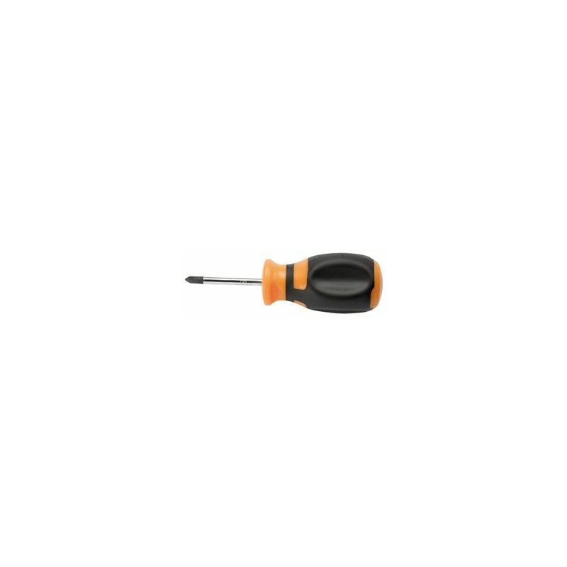 Cacciavite nano phillips punta ph 2 magnetica