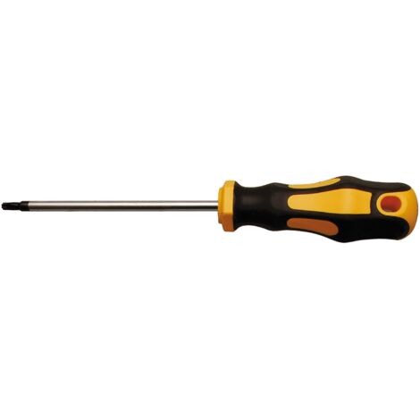 Cacciavite  profilo a T (per Torx) T15  Lunghezza della lama 100 mm