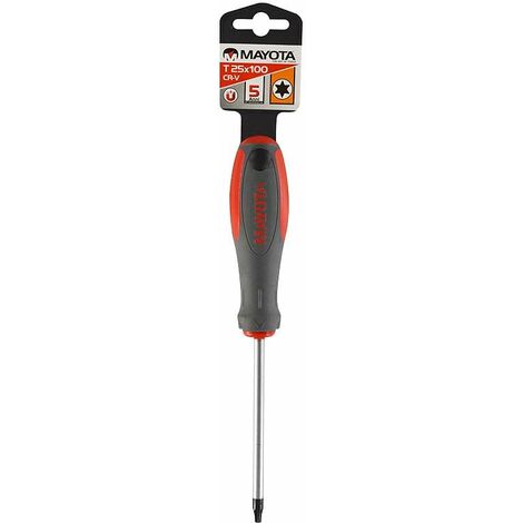Cacciavite torx t25x100