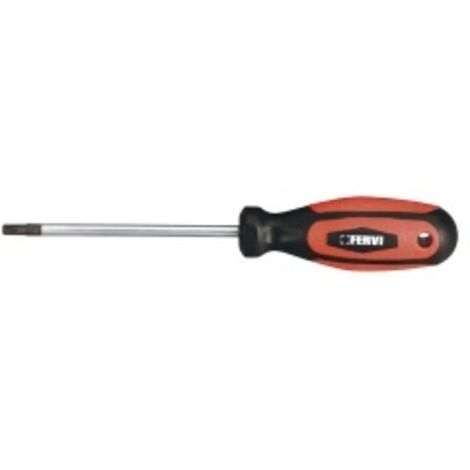 CACCIAVITE TORX T25x100