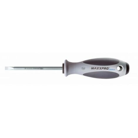 Cacciavite Witte maxxpro acciaio inox albero temprato