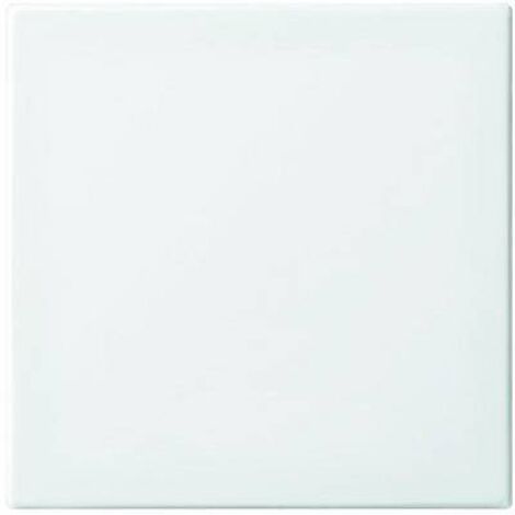 Cache Busch-Jaeger 2506-914 blanc-alpin S728611