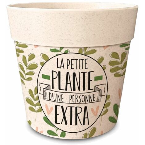 Cache pot en bambou la petite plante