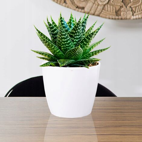Cache-pot en plastique blanc 12 cm Magnolia
