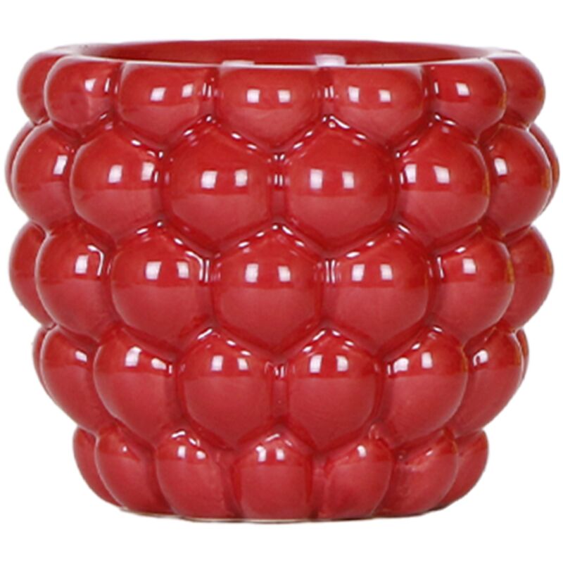 Exotenherz - Cache-pot Fruits coquins - Rouge - Baie - adapté aux pots de 9cm