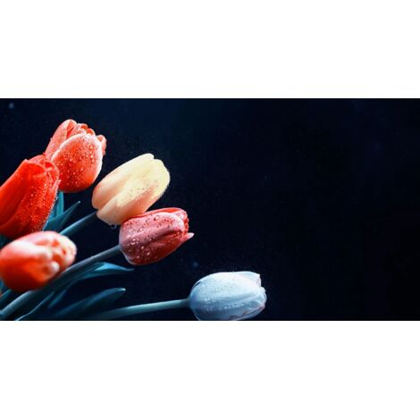 Cache radiateur Décoration Chambre Tulipes 60x100