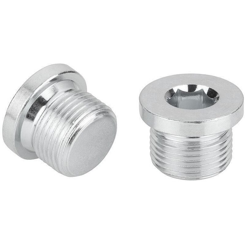 Vis Express - Vis Penture 4X30 Filetée sur 20 torx T20 Acier nickelé-1000 pièces