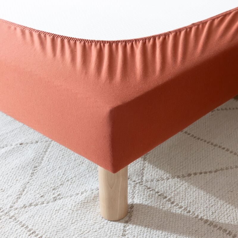 Cache-sommier coton jersey terre de sienne 90x190/200 - Rouge terracotta