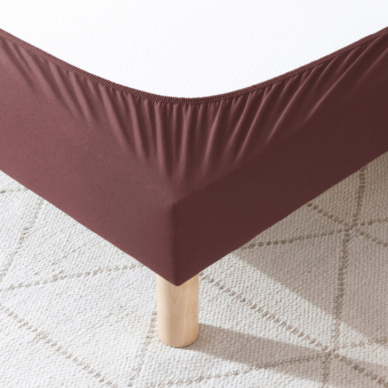 Cache-sommier coton jersey marron 100x190 à 110x200