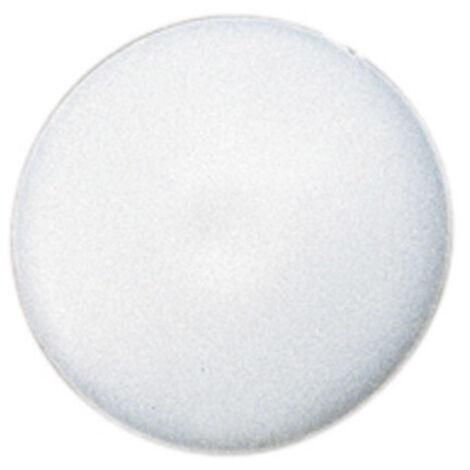 Vis Express – Cache vis TORX T30 en nylon blanc – Diamètre de tête 17 mm – Lot de 100 pièces – Pour finition soignée de vos projets - Blanc-100