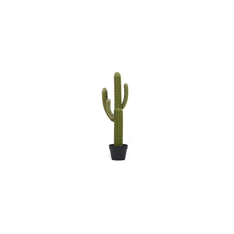 

Catral Saguaro, Verde, 82 Cm