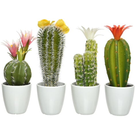 Cactus avec pot 7,5x7,5x24h cm