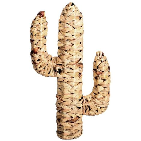 Cactus en jacinthe d'eau H45