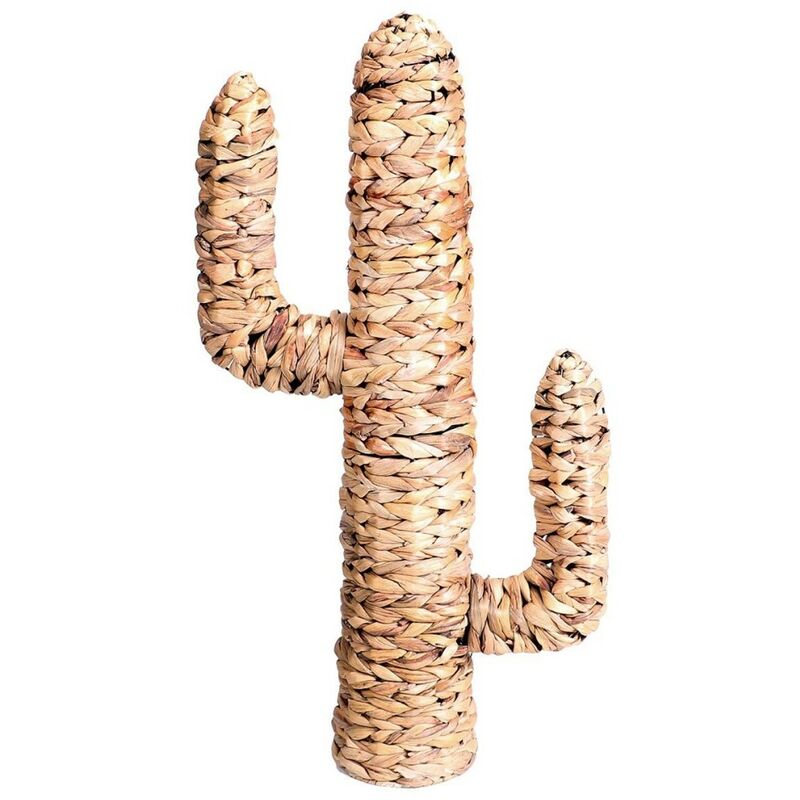 Cactus en jacinthe d'eau H80