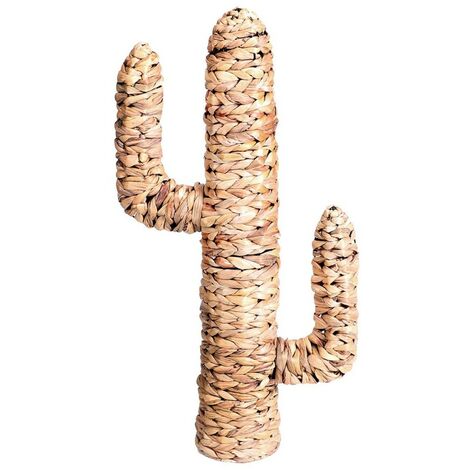 Cactus en jacinthe d'eau H80