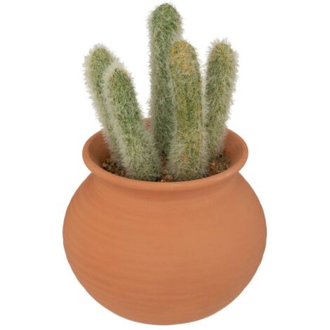 Cactus en maceta de terracota Alicante H16,5cm - Atmosphera créateur d'intérieur