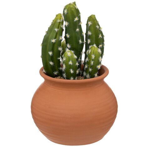 Cactus in vaso alicante in terracotta h16,5cm - Atmosphera créateur d'intérieur