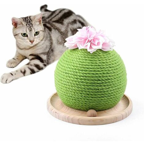 Cactus Sisal Chat Grattoir avec Cataire et Balle Jouet Interactif Pour Chat Anti-Rayures Chat Griffe Jouet Vernis À Ongles Jouet