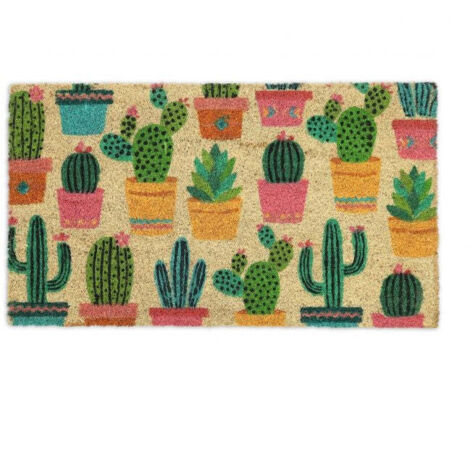 Cactus zerbino in cocco 88309