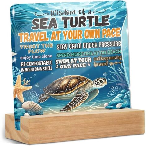 Cadeaux inspirants à la tortue de mer, panneau transparent en acrylique avec support en bois, cadeaux pour bureau, panneaux de décoration pour étagère de table, accessoires de bureau