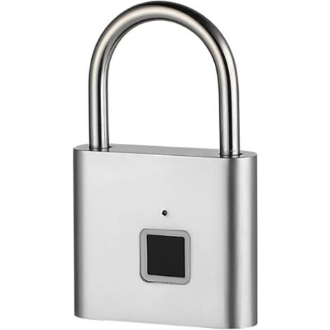 Cadenas à empreinte digitale, cadenas de casier, cadenas biométrique sans clé pour extérieur, stockage, salle de sport, argent