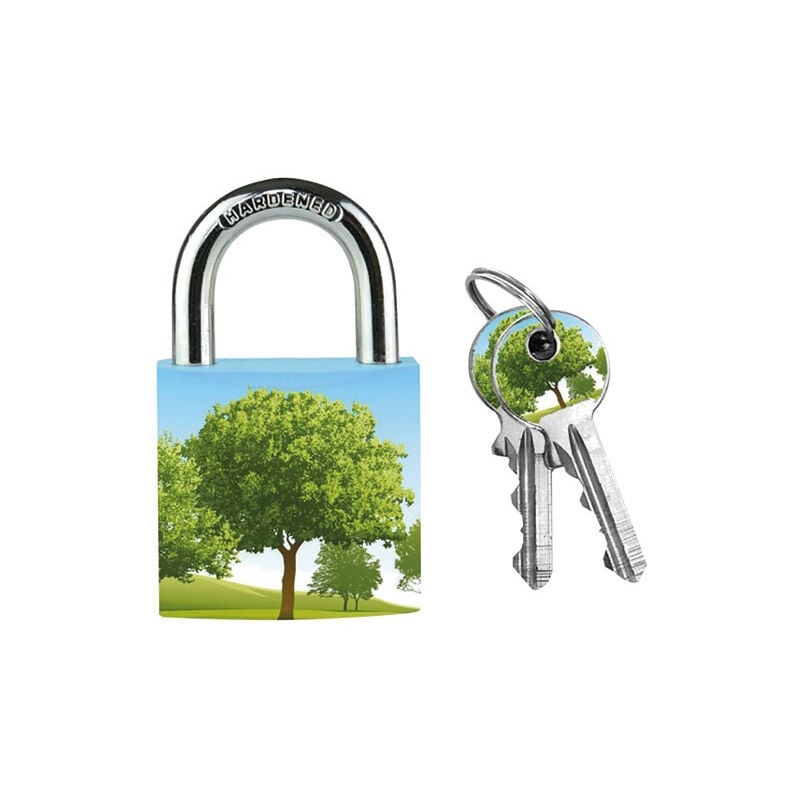 Master Lock - 4 Cadenas en métal massif 30mm motifs assortis