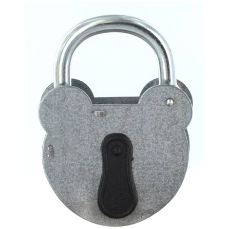Cadenas FTH 2493 à clé, corps en acier galvanisé de 55mm, anse en acier zingué de Ø 6,5mm, 2 clés à gorges - FTH