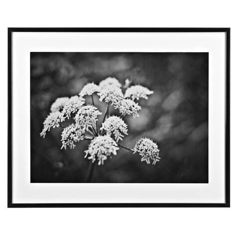 Cadre aluminium pour exposition 70x100cm noir