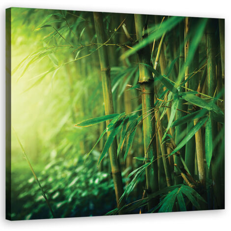 Cadre déco Bambou de la jungle 30x30