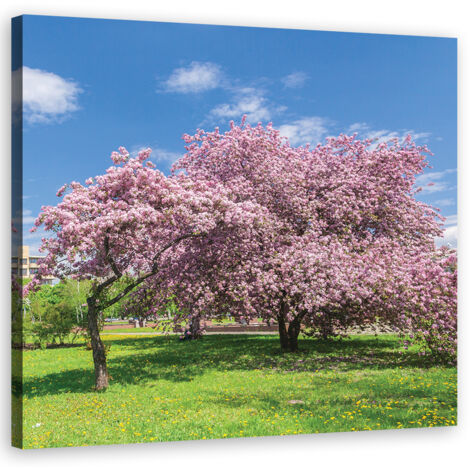 Cadre déco Feuilles roses Arbres 40x40