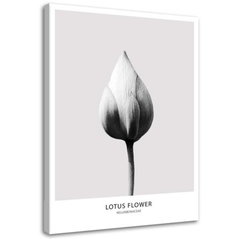 Cadre déco Fleur de lotus noire et blanche 40x60