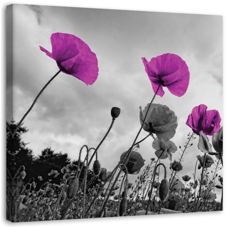 Cadre déco Fleurs de coquelicots lilas 30x30