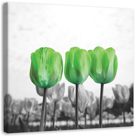 Cadre déco Fleurs Tulipes vertes 30x30