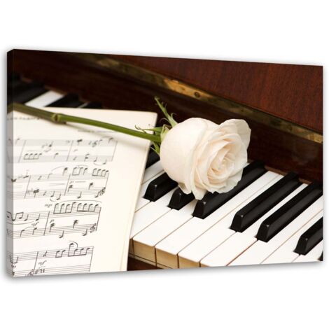Cadre déco Musique Piano Rose Notes 60x40