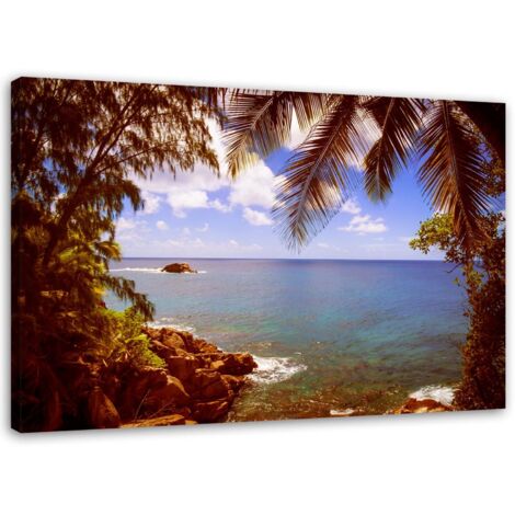 Cadre déco Palmiers Plage rocheuse 60x40