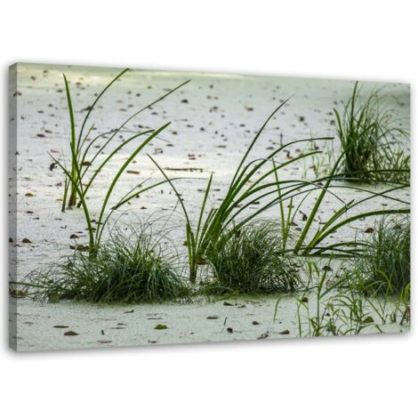 Cadre déco Plage Sable Herbe Vert 60x40
